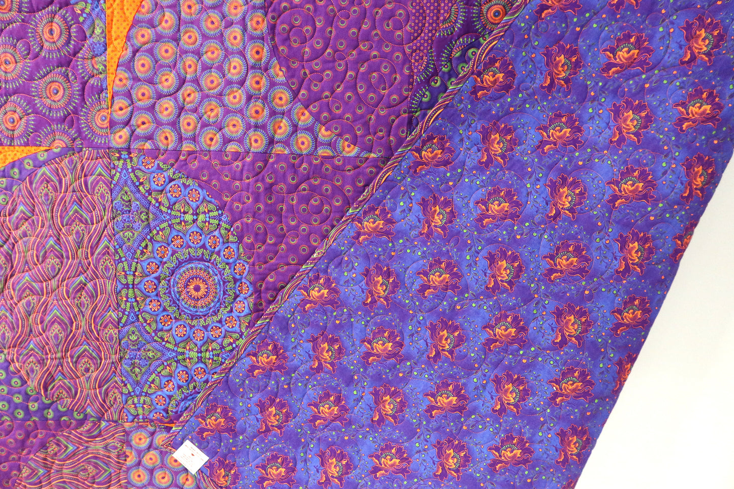 SH Purple & Orange Queen No 1